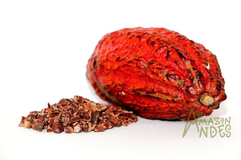 cacao nibs raw