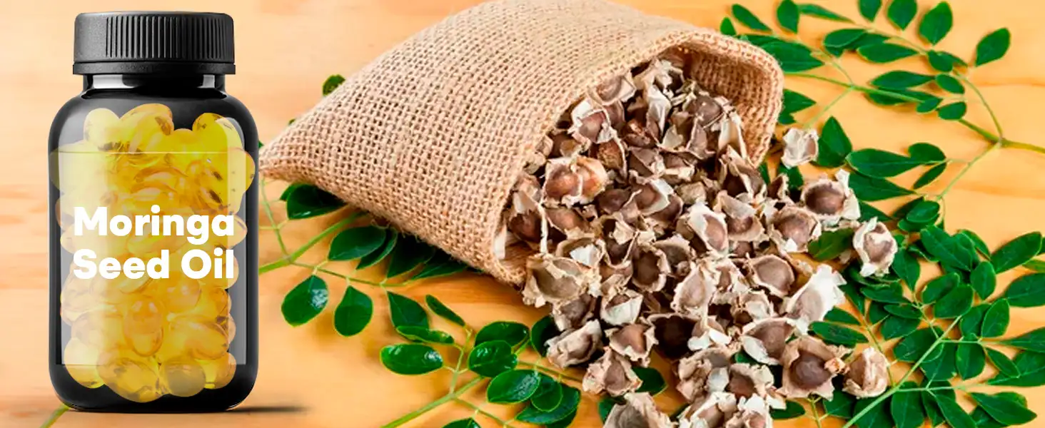 moringa zaadolie