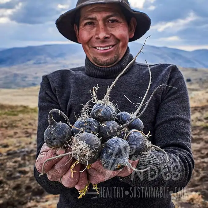 Triple maca en cápsulas | Negra, roja y amarilla | 100 de 1.500 mg — imagen 6