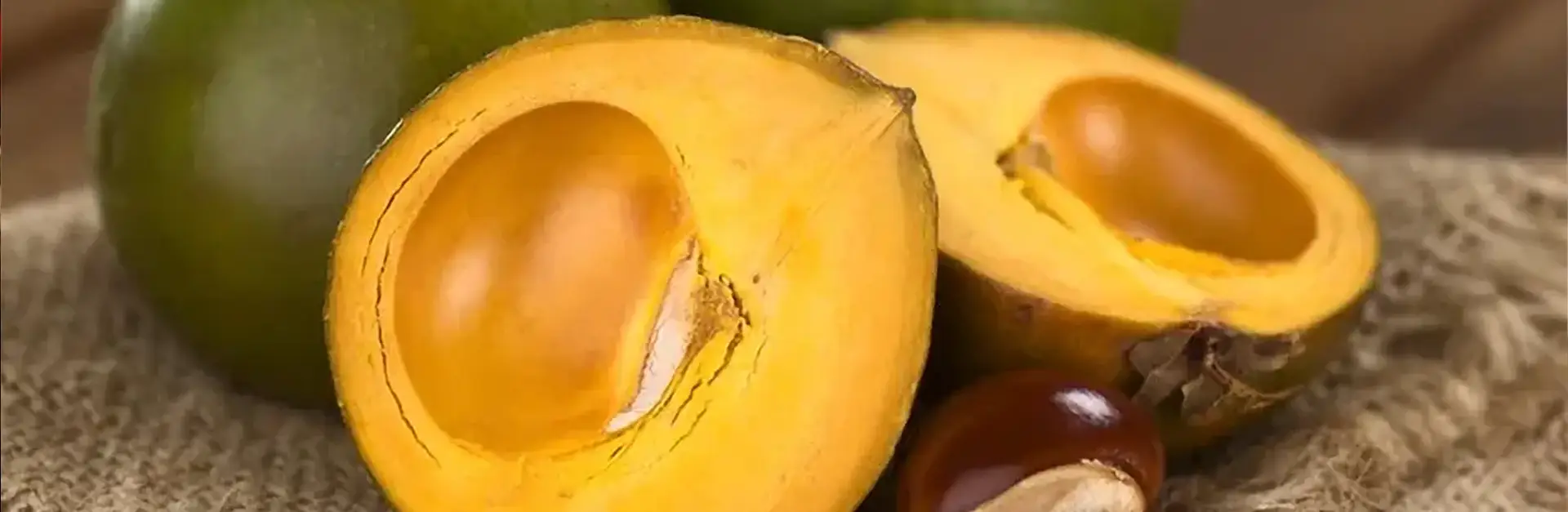 Lucuma